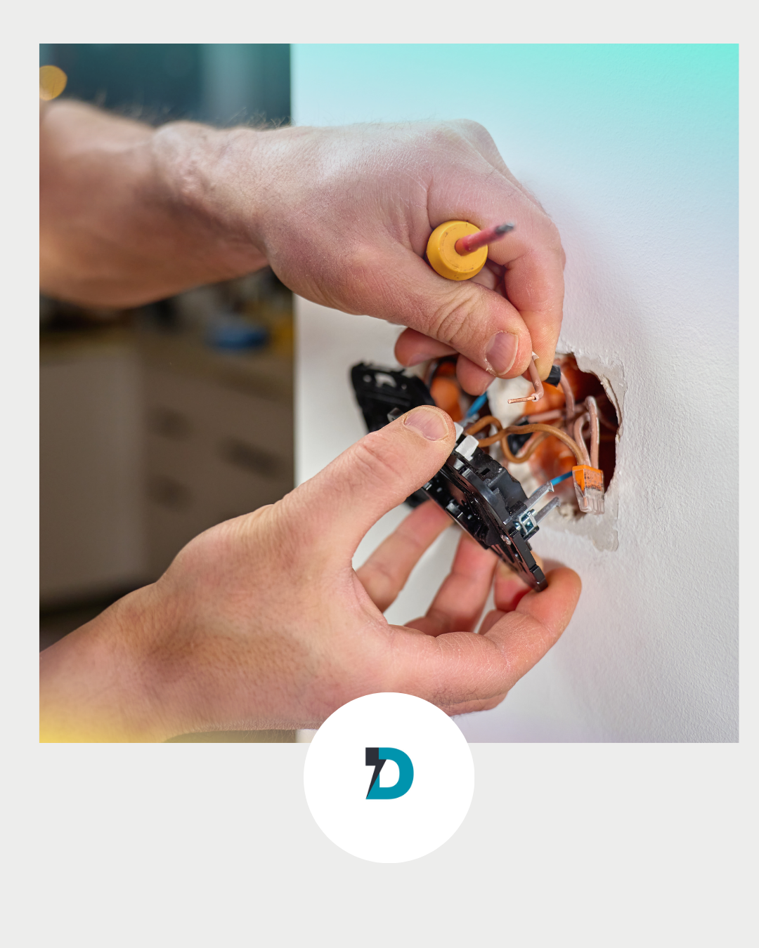 ds elec electrique prise